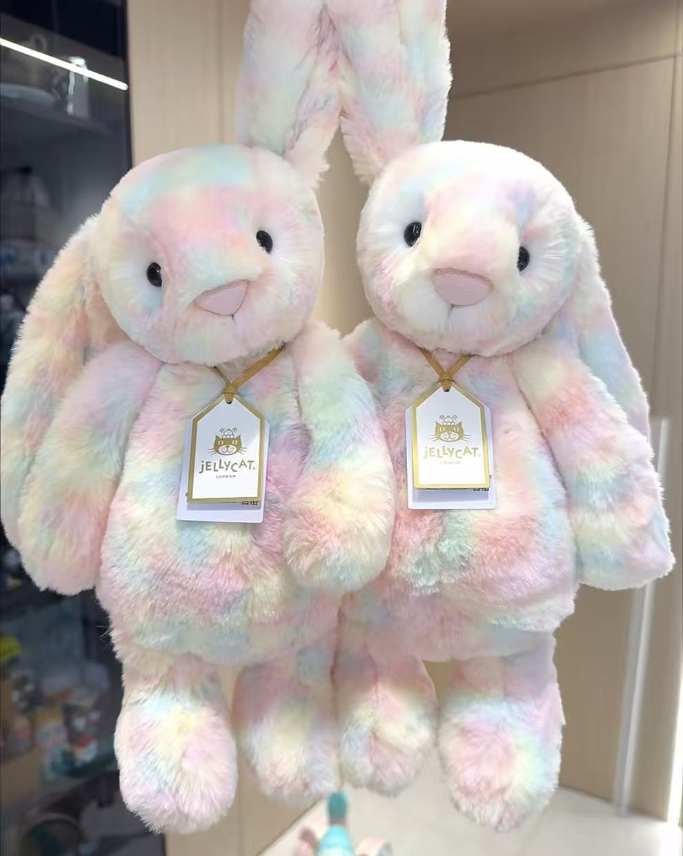 Bashful Bunny