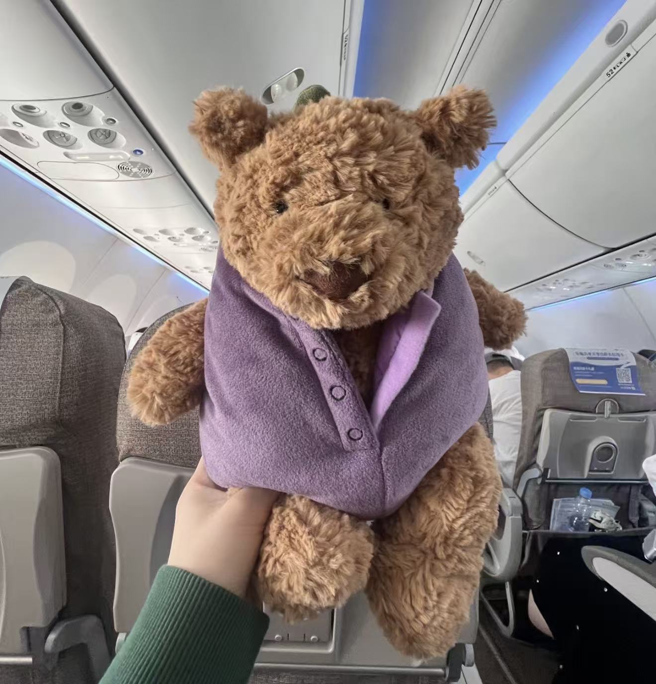 Bartholomew Bear Aubergine